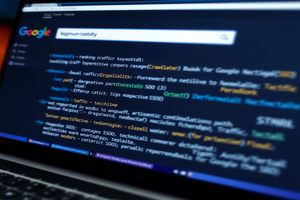 SEO排名优化软件外包，指企业将SEO优化任务委托给专业团队或公司