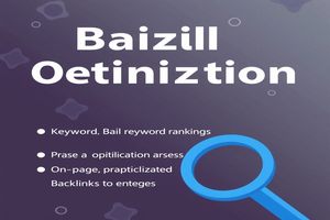 SEO排名优化软件外包,指企业将SEO优化任务委托给专业团队或公司